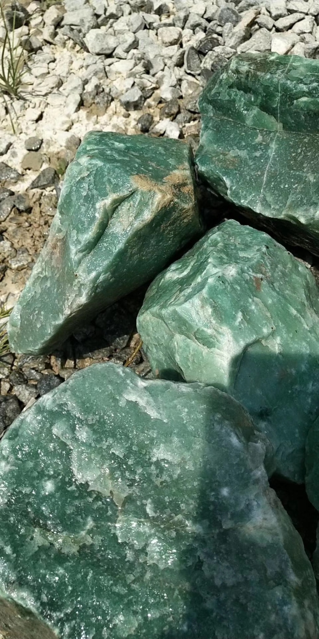 现货黄金再度站上5000美元/盎司